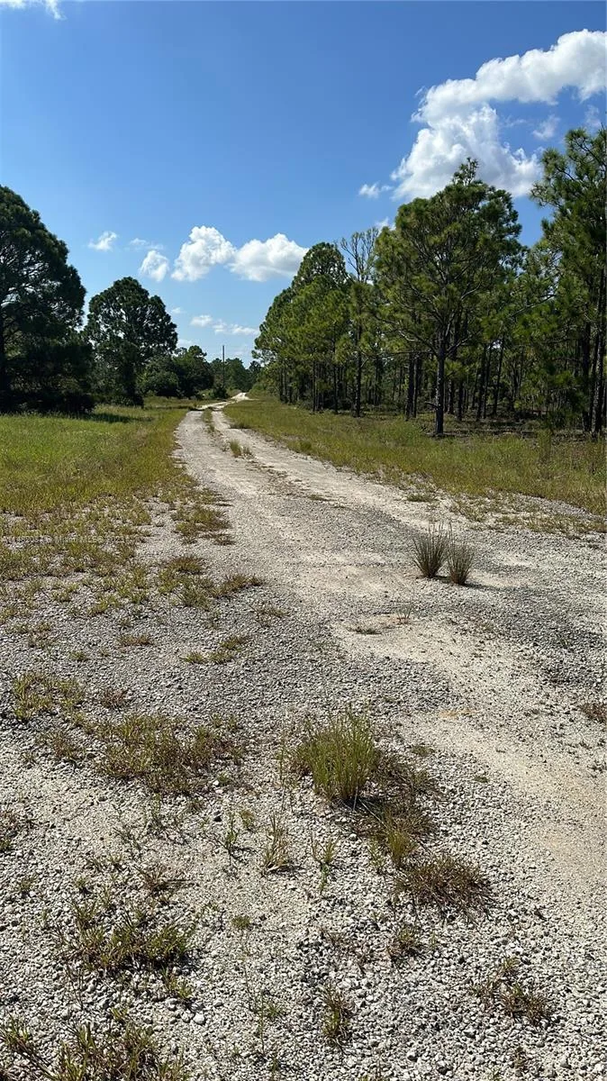 341 Moon River Ave, Lake Placid, FL 33852 photo 3