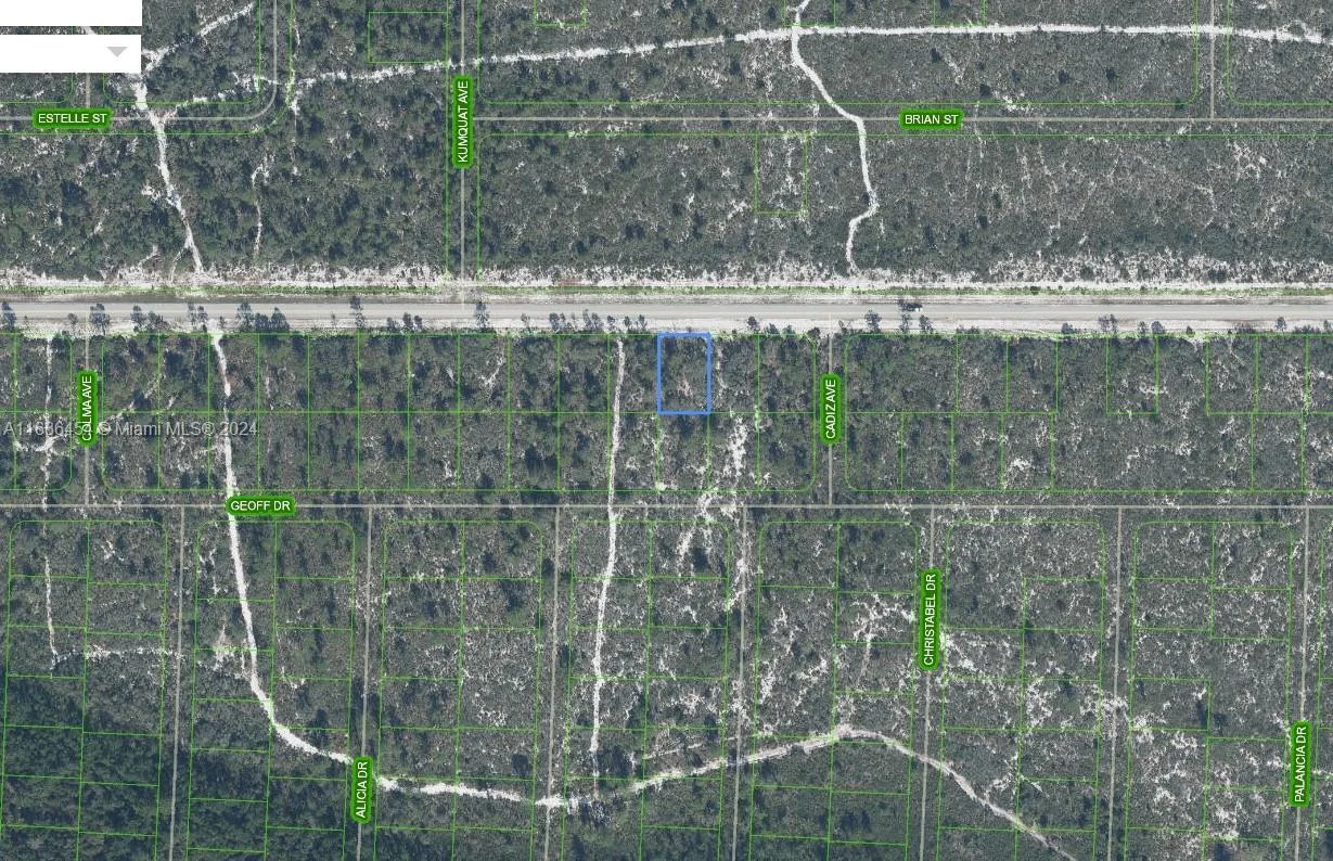 6737 Columbus Blvd, Sebring, FL 33872 photo 2