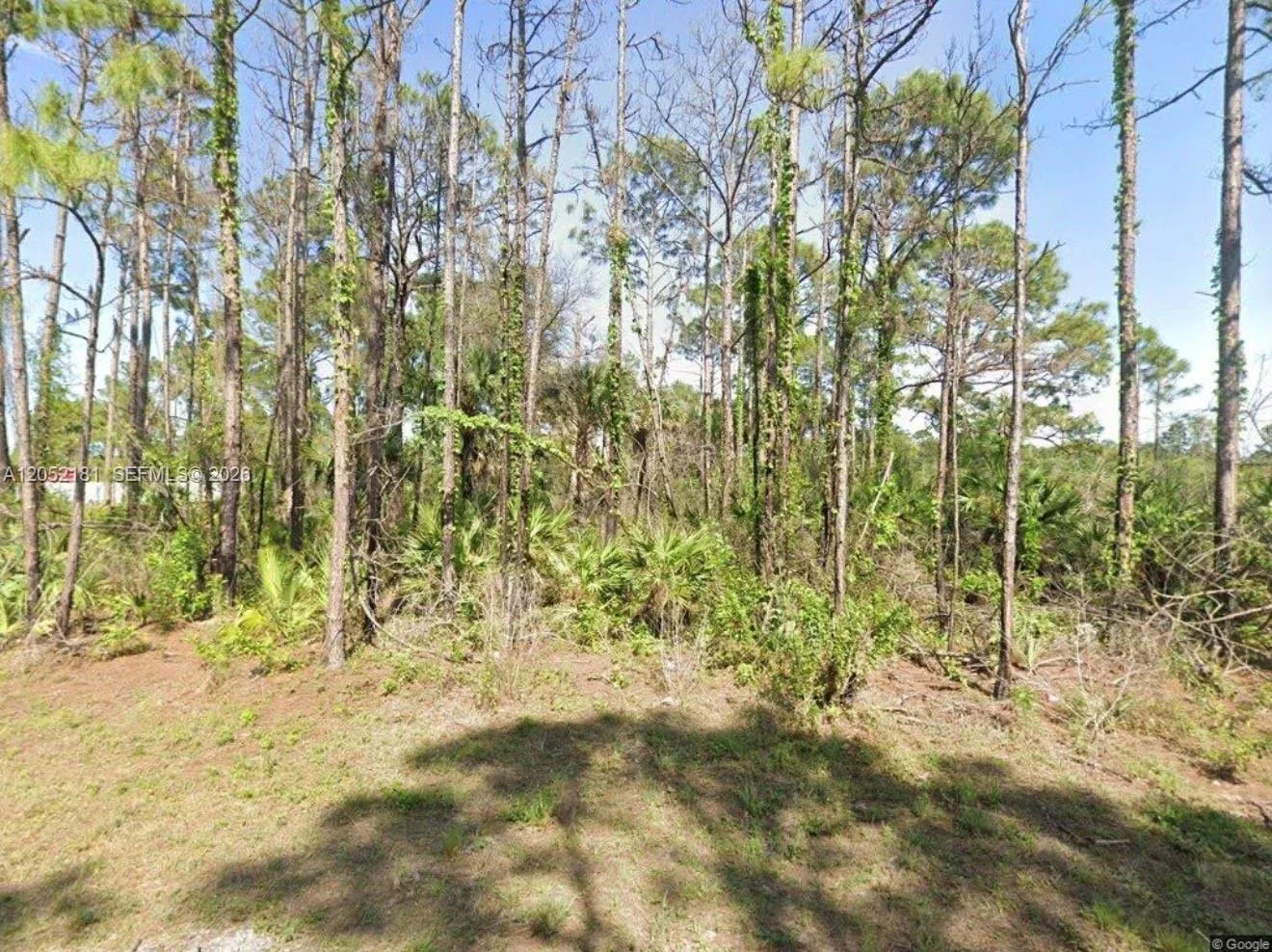 2814 Ida Ave N, Lehigh Acres, FL 33971 photo 12