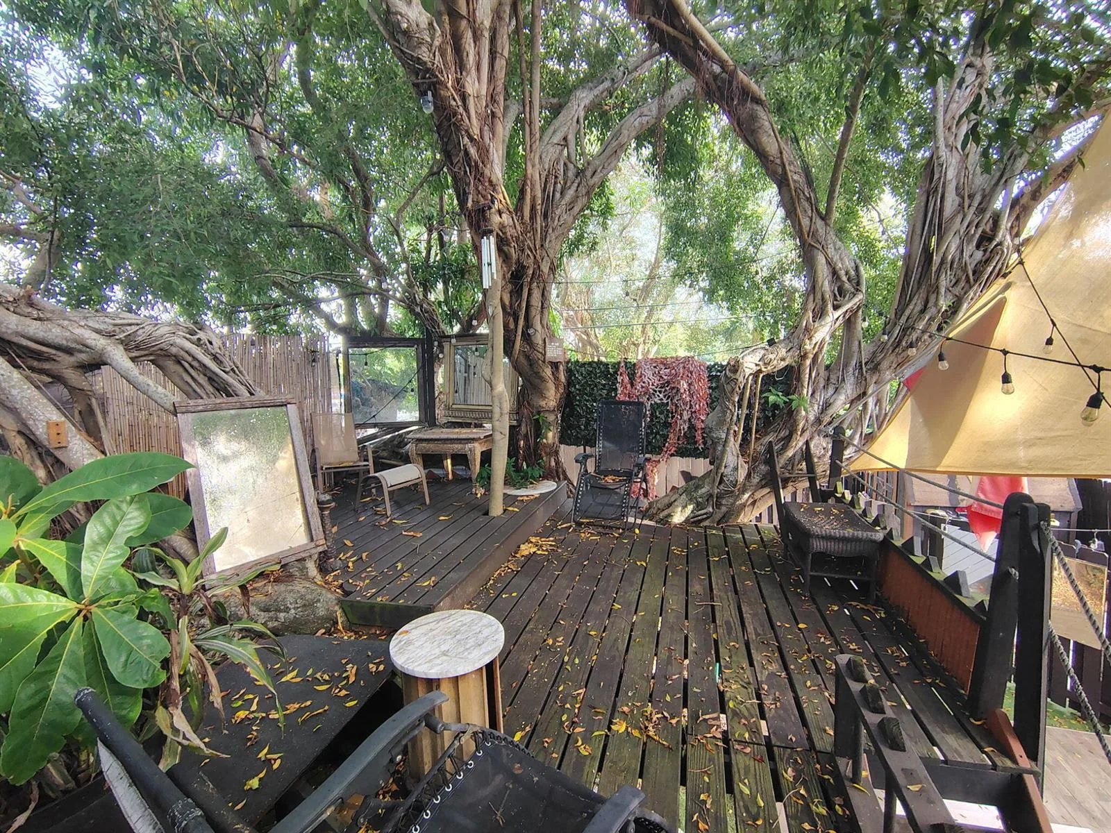 2206 Coolidge Street # Unit A, Hollywood, FL 33020 photo 13