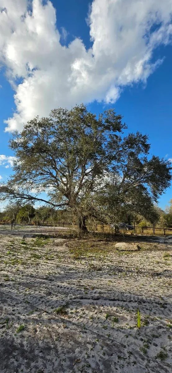 18678 NW 284 st, Okeechobee, FL 34972 photo 12