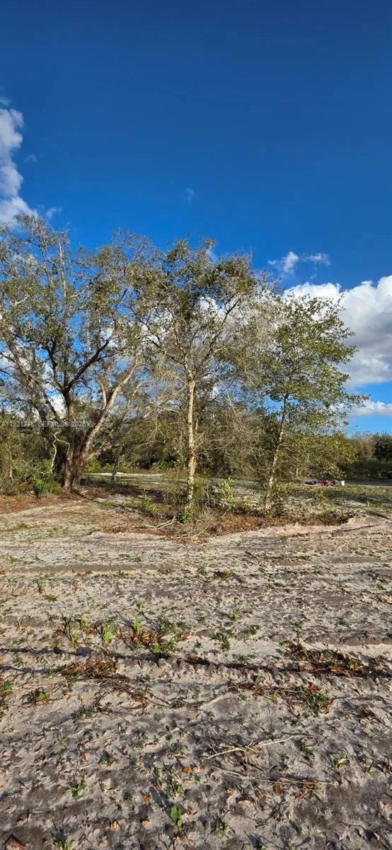 18678 NW 284 st, Okeechobee, FL 34972 photo 13