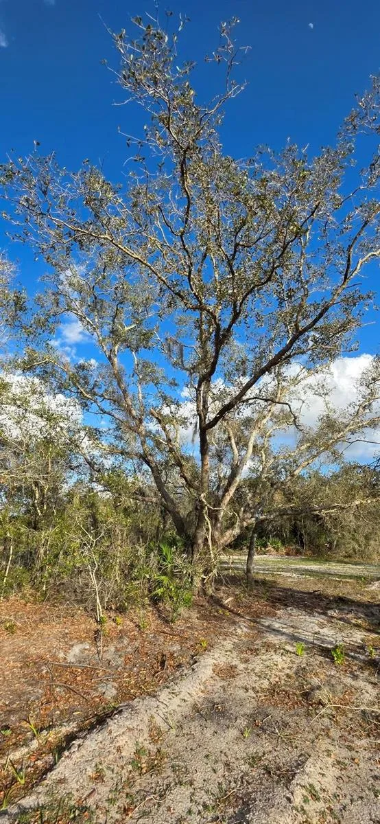 18678 NW 284 st, Okeechobee, FL 34972 photo 2