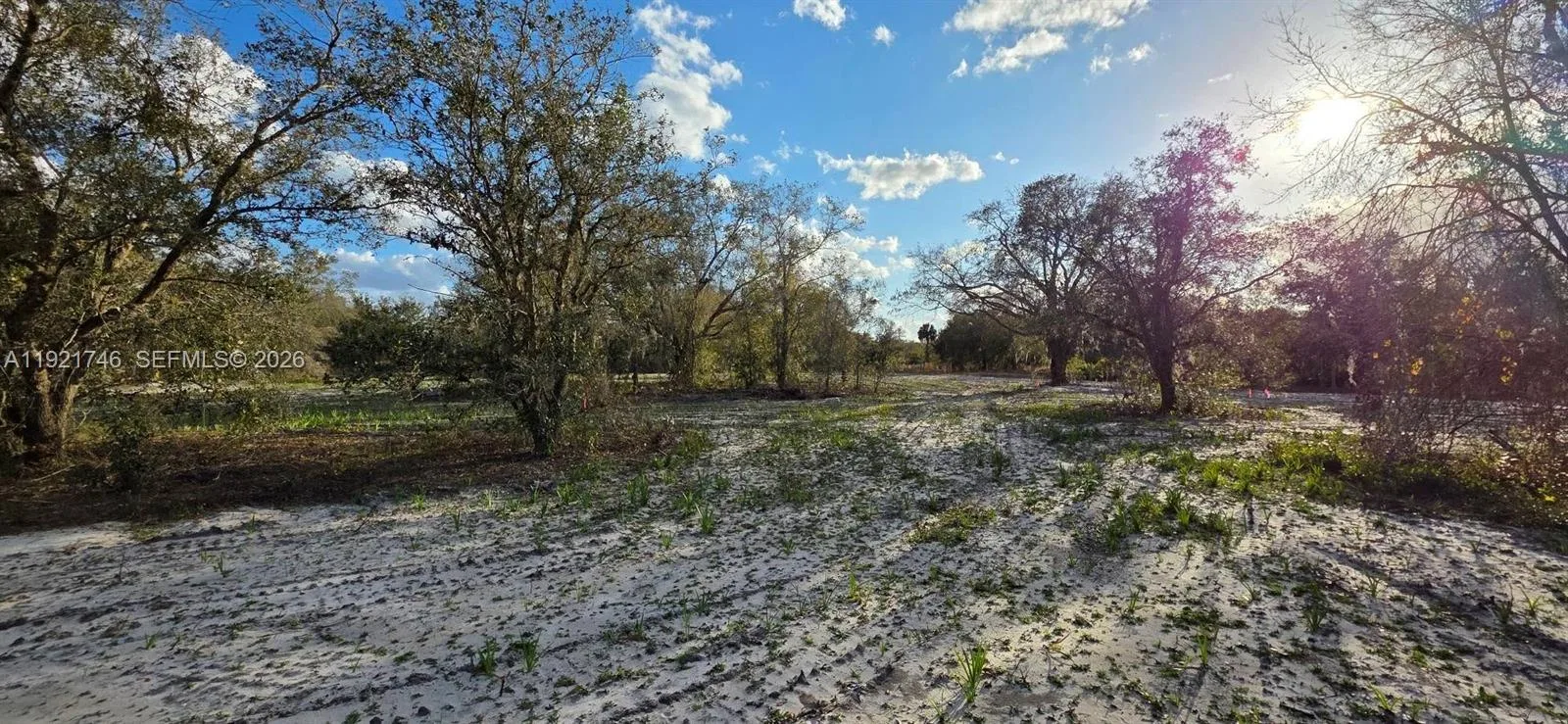 18678 NW 284 st, Okeechobee, FL 34972 photo 3