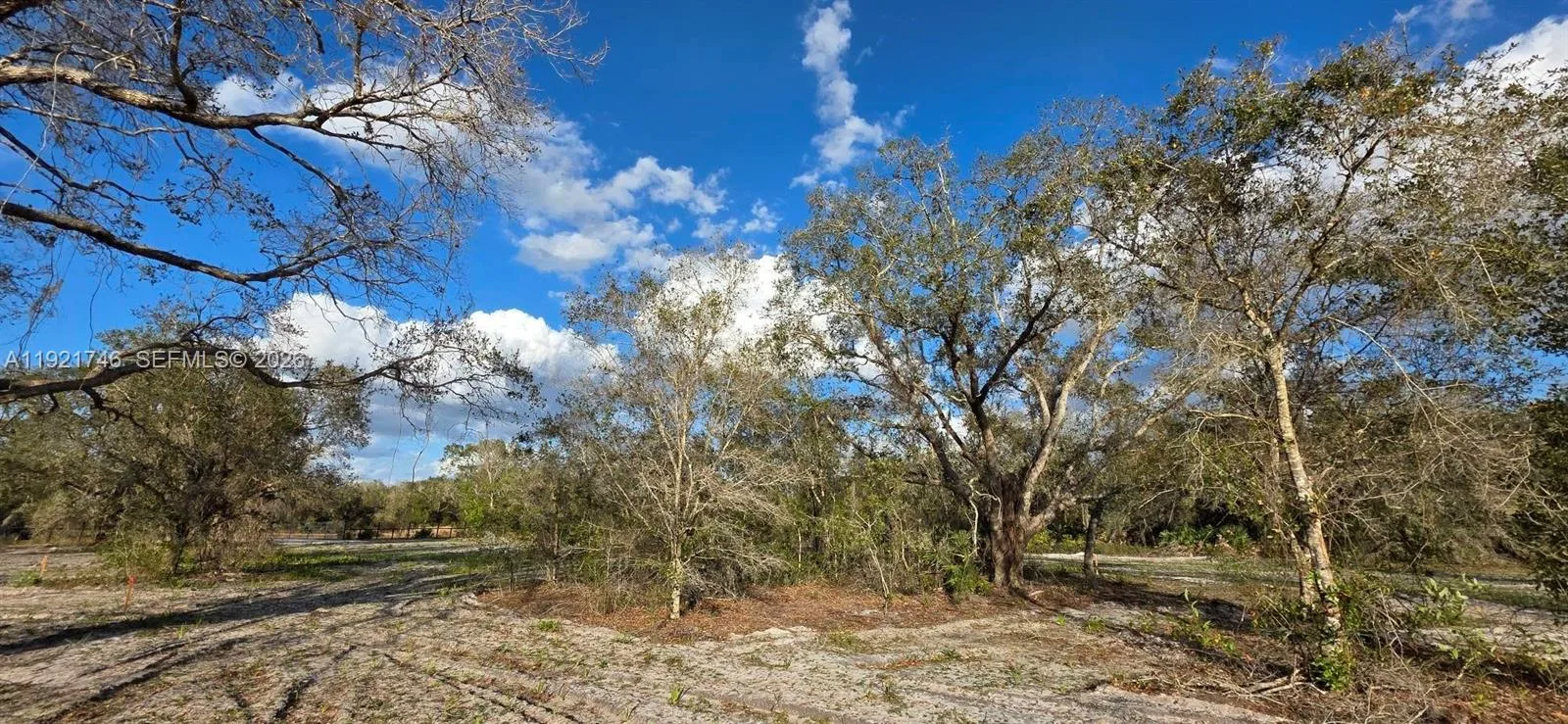 18678 NW 284 st, Okeechobee, FL 34972 photo 6