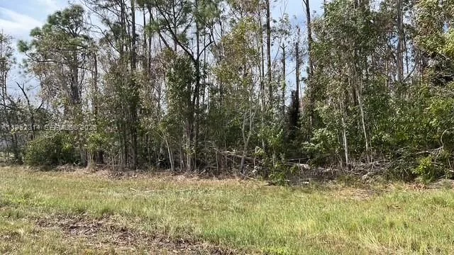 4732 NW 39 Place, Other City - In The State Of Florida, FL 33993 photo 4