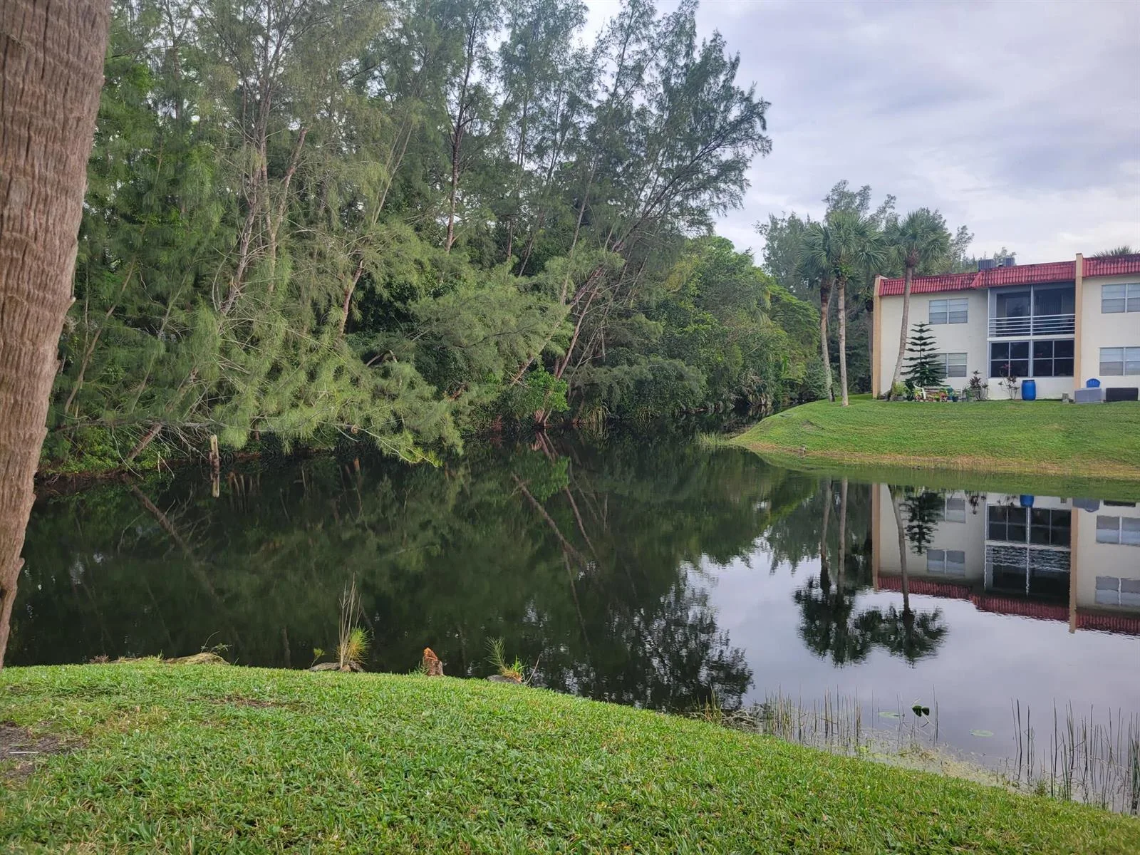 356 Lake Dora Drive, West Palm Beach, FL 33411