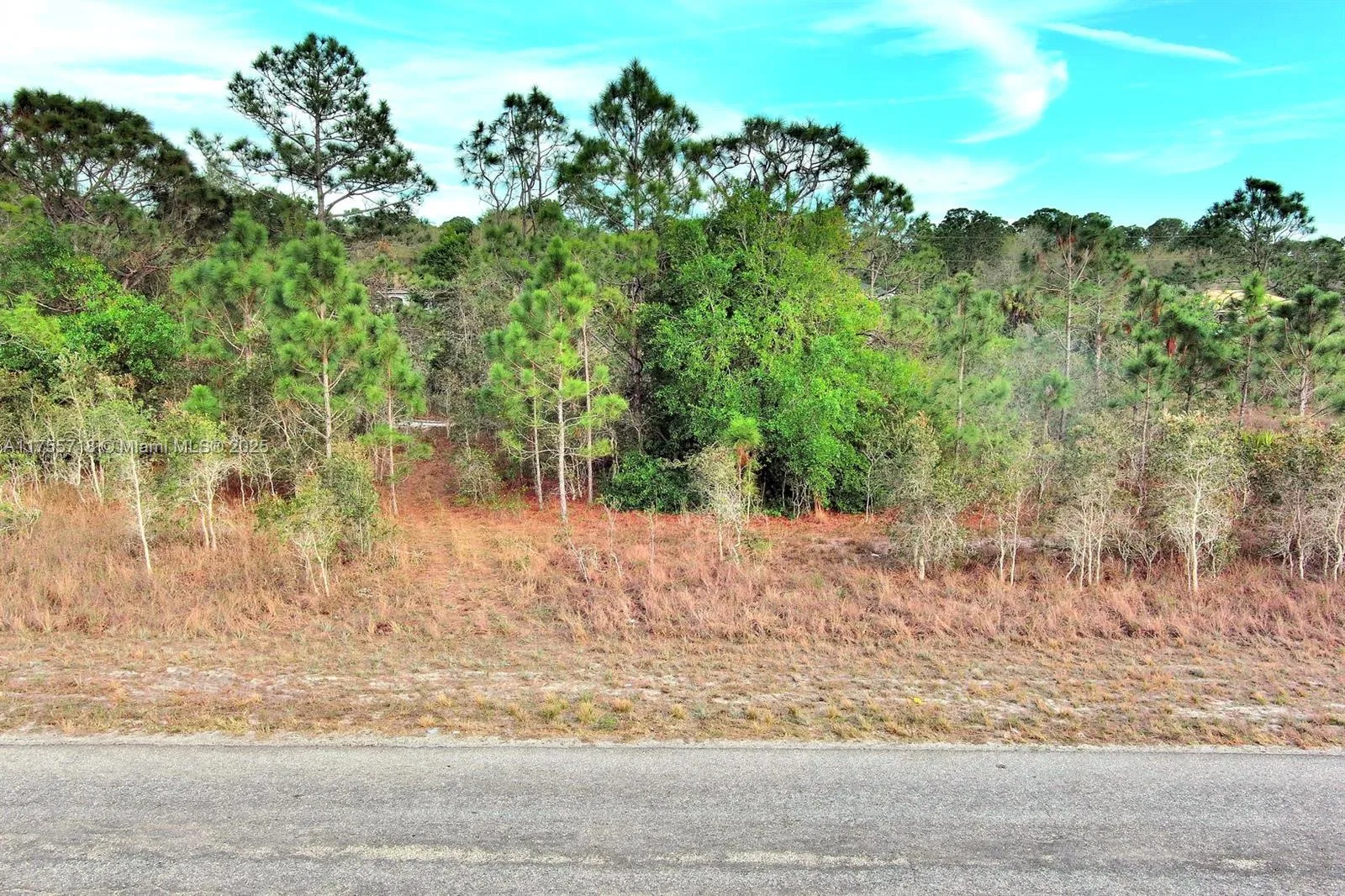 565 Summit Ave S, Lehigh Acres, FL 33974 photo 4