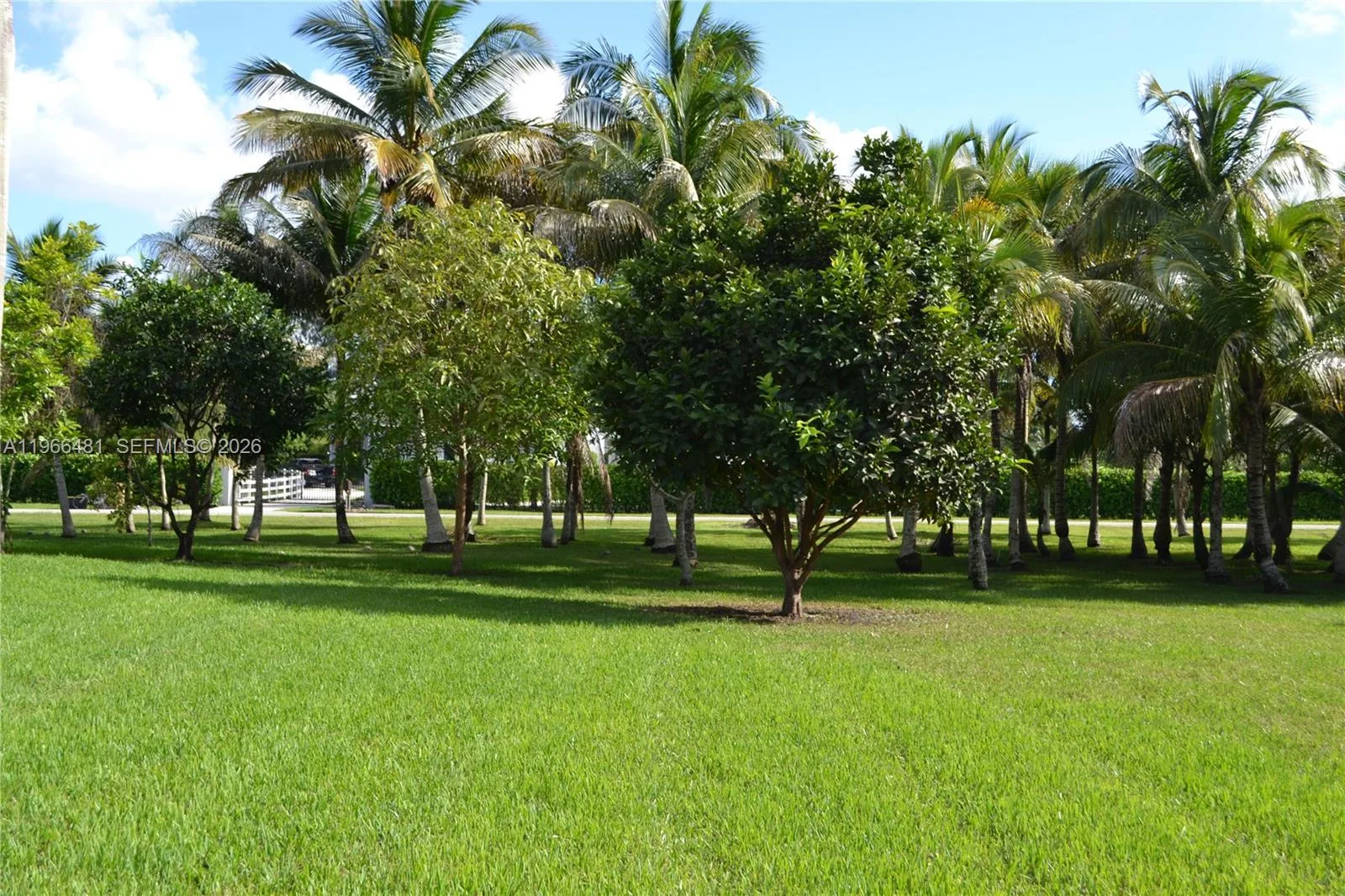 5425 SW 190th Ave # 1, Southwest Ranches, FL 33332