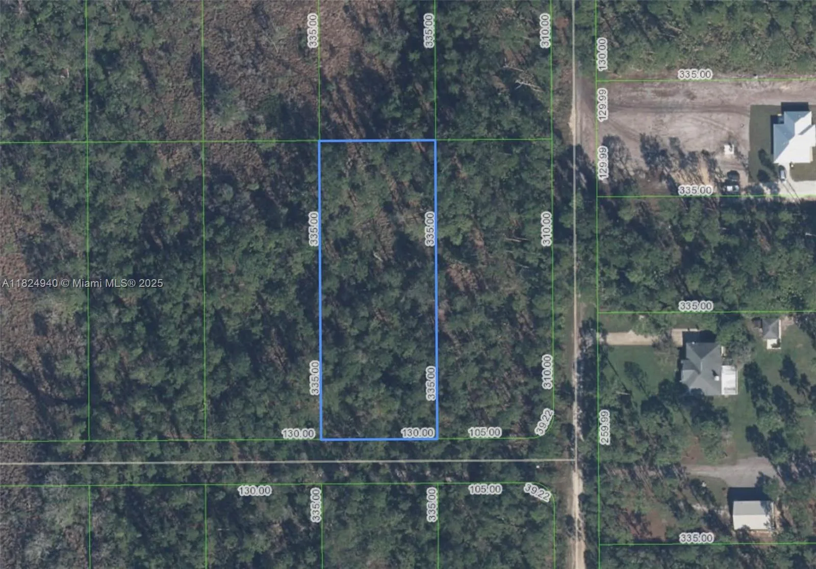 910 Iris Avenue, Sebring, FL 33875