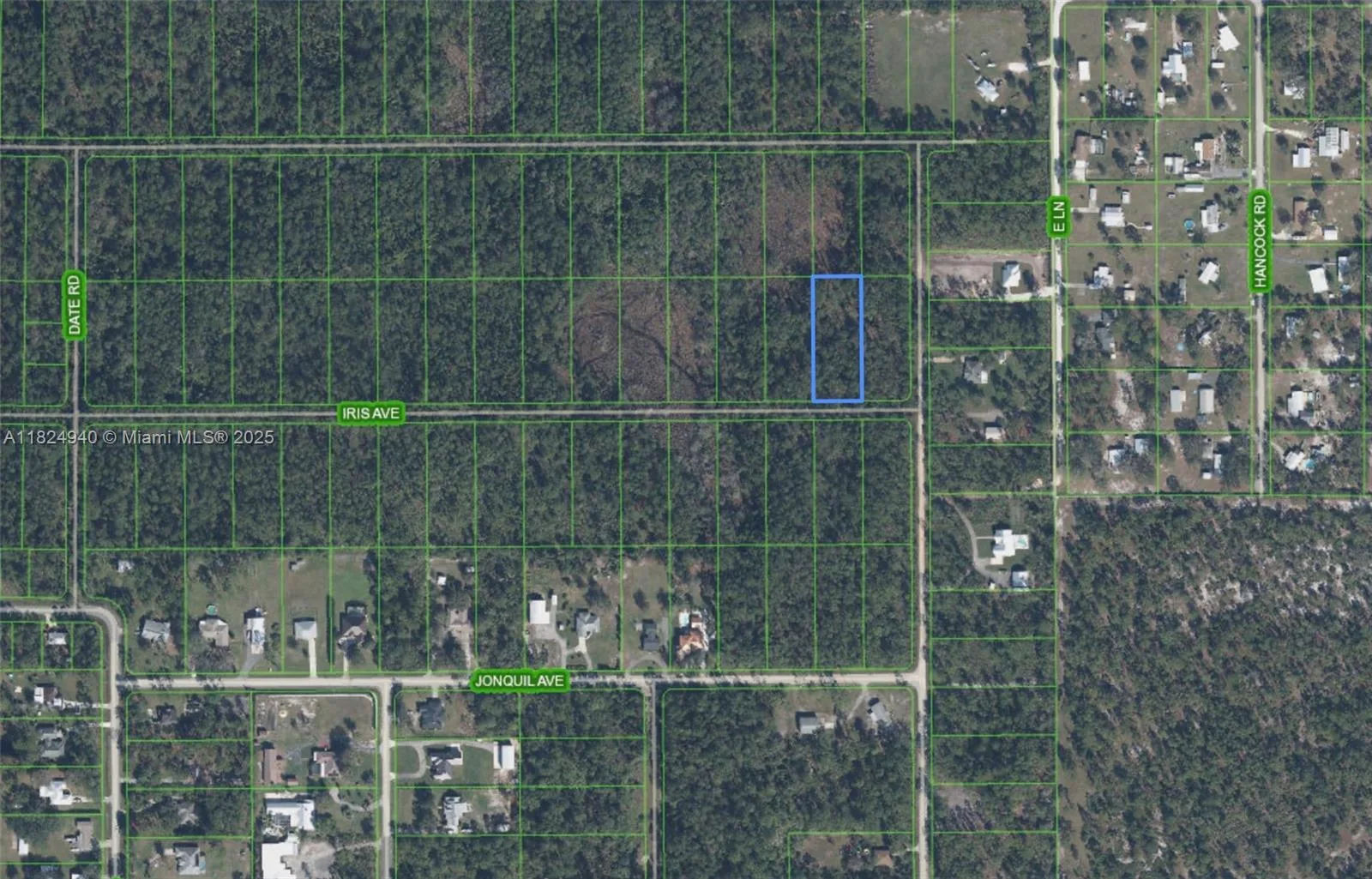 910 Iris Avenue, Sebring, FL 33875 photo 2