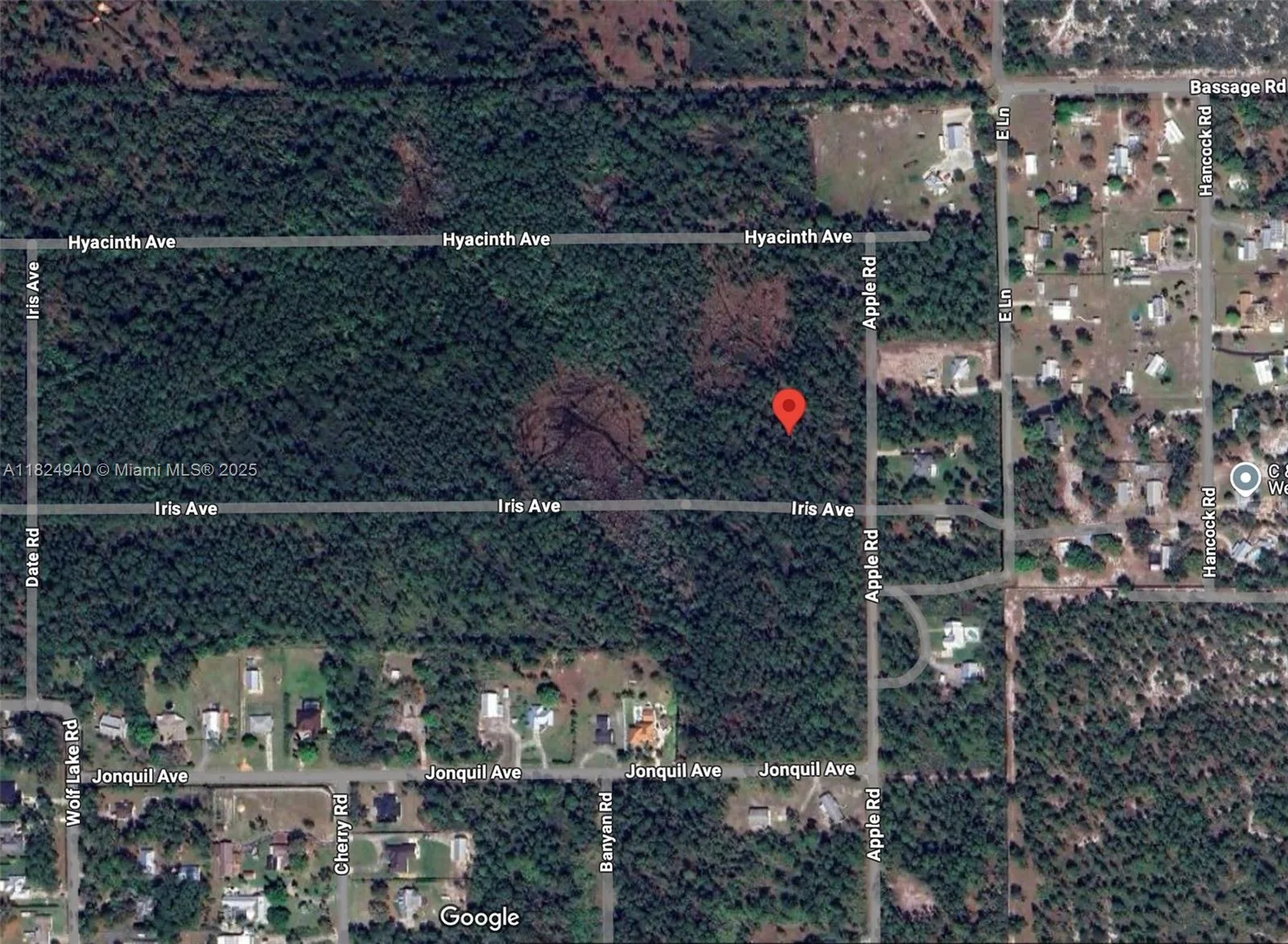 910 Iris Avenue, Sebring, FL 33875 photo 3