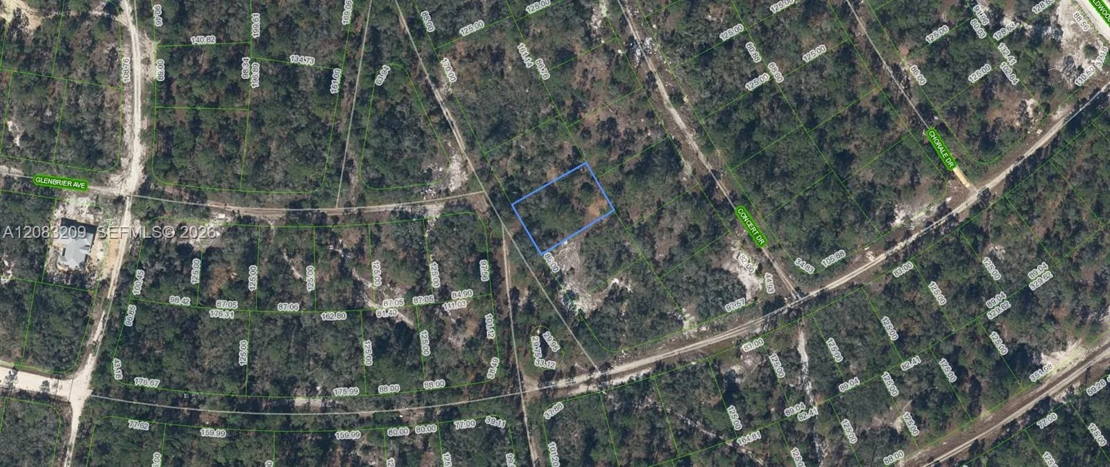 379 Blue Horizon Drive, Lake Placid, FL 33852