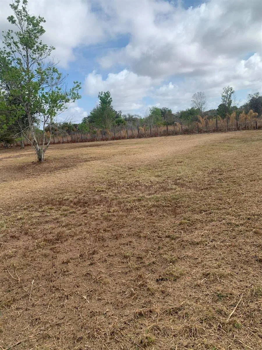 17231 NW 268th Street, Okeechobee, FL 34972 photo 12