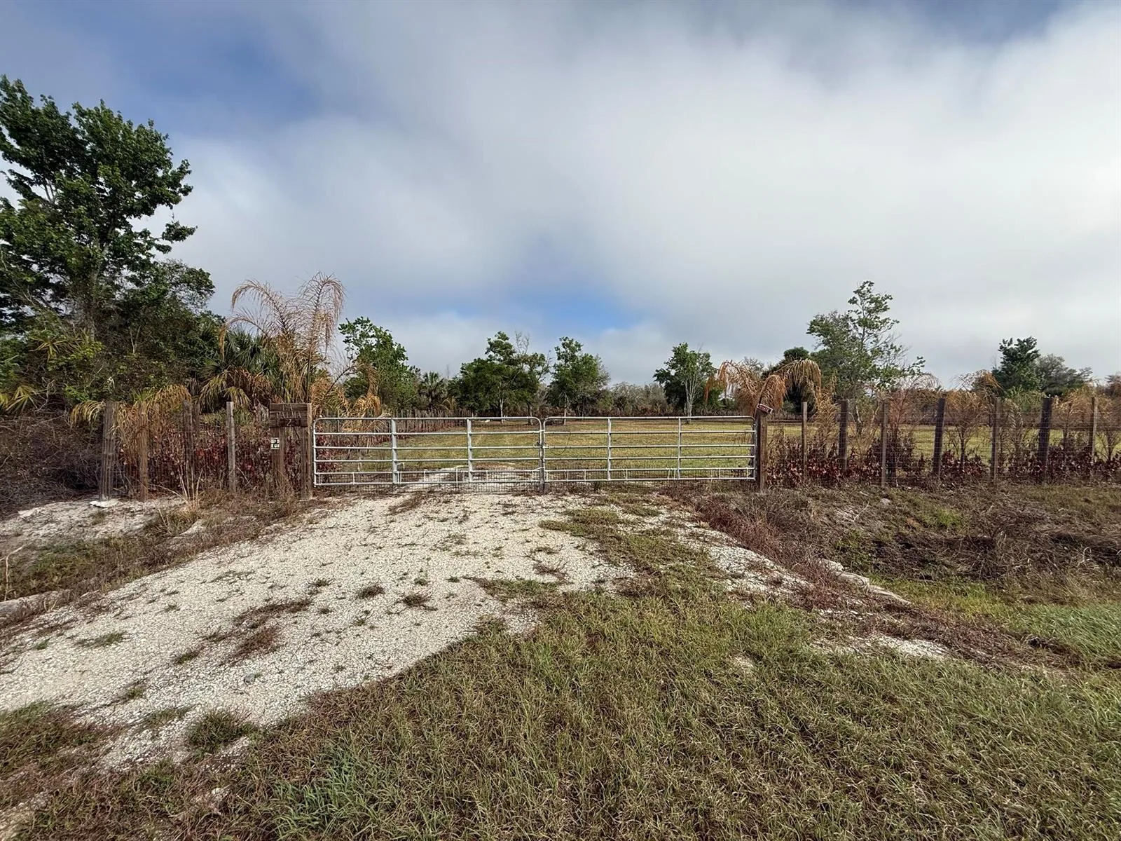 17231 NW 268th Street, Okeechobee, FL 34972 photo 2