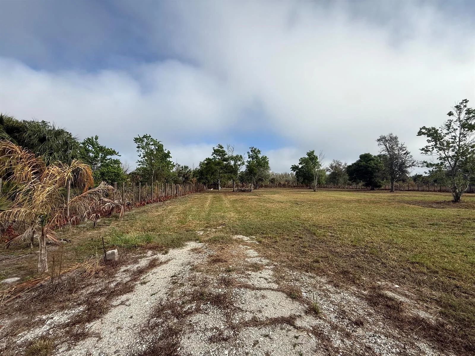 17231 NW 268th Street, Okeechobee, FL 34972 photo 4