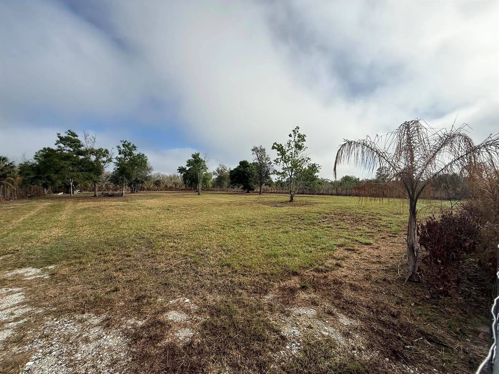 17231 NW 268th Street, Okeechobee, FL 34972 photo 5