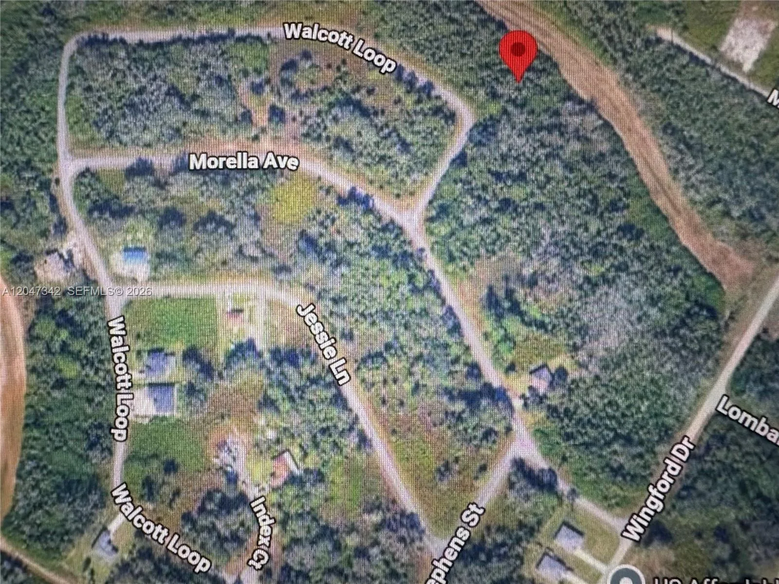 1991 WALCOTT LOOP, Lehigh Acres, FL 33972