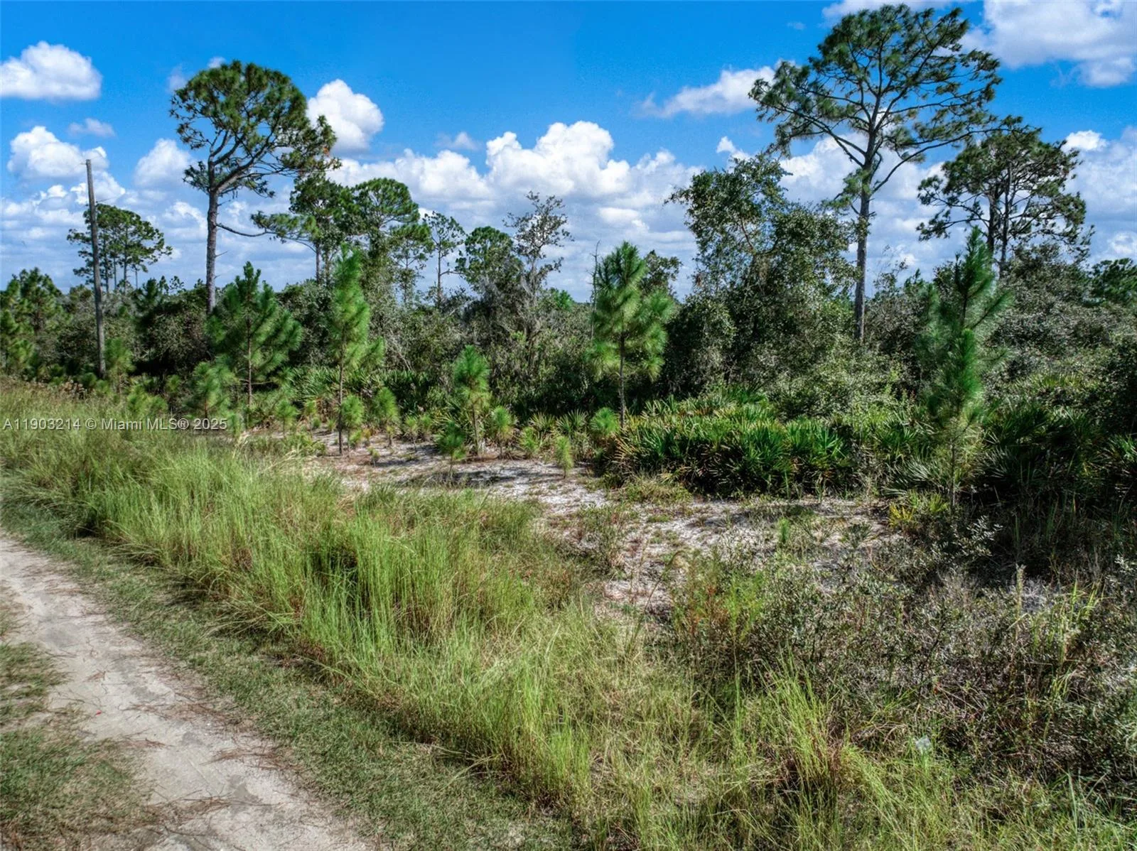 262 Oriole Avenue, Sebring, FL 33870 photo 5