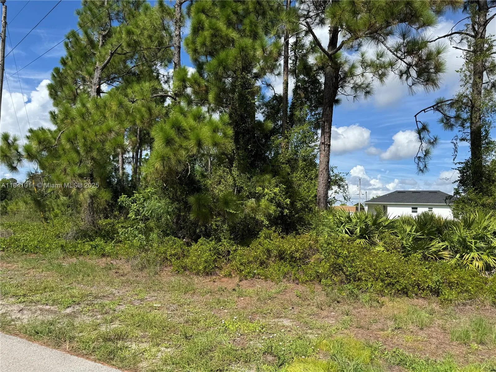 768 Bahama, Lehigh Acres, FL 33974 photo 2