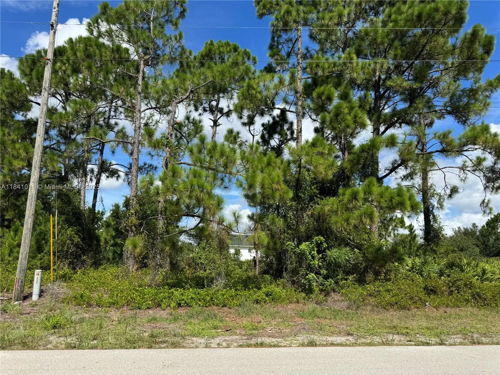 768 Bahama, Lehigh Acres, FL 33974 photo 3