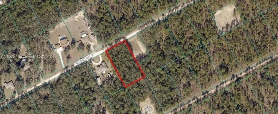 342 Gloaming Drive, Lake Placid, FL 33852 photo 3