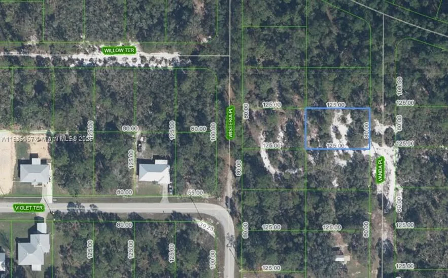 6809 VANDA PL, Sebring, FL 33875 photo 2