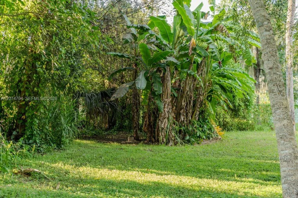 780 Washington Ave., La Belle, FL 33935 photo 4