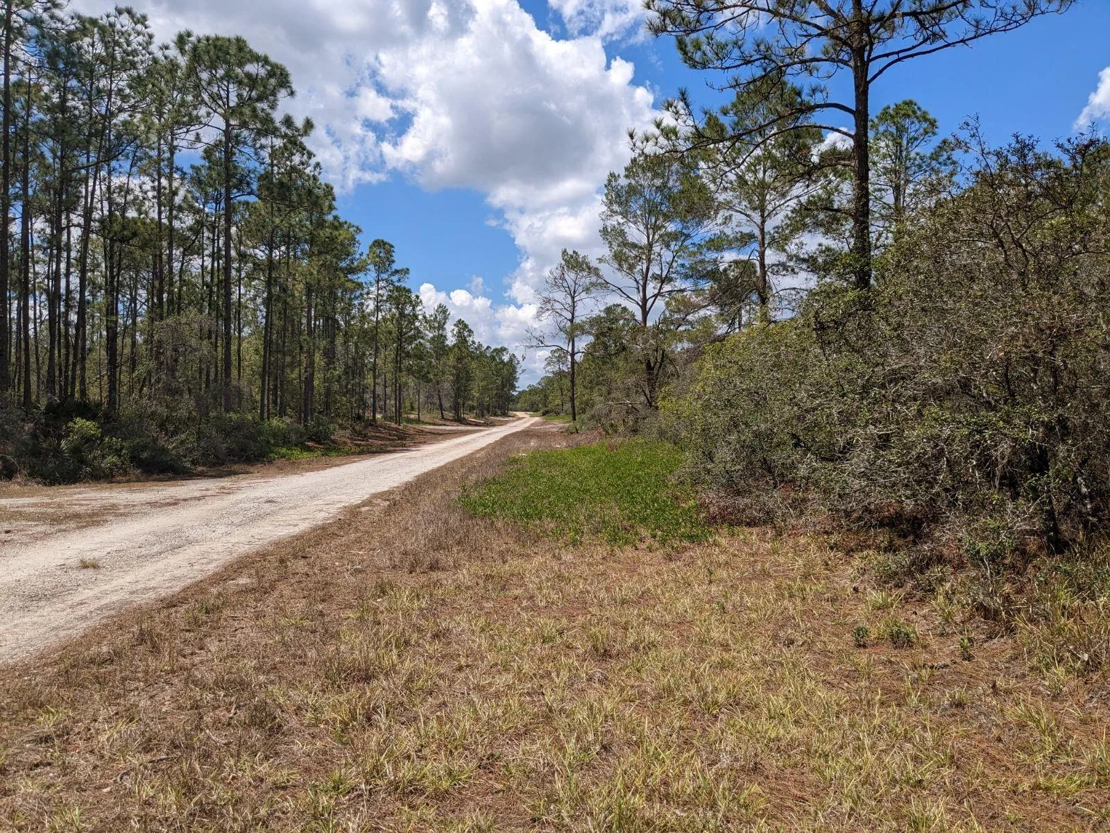 430 Apple Blossom Avenue, Lake Placid, FL 33852