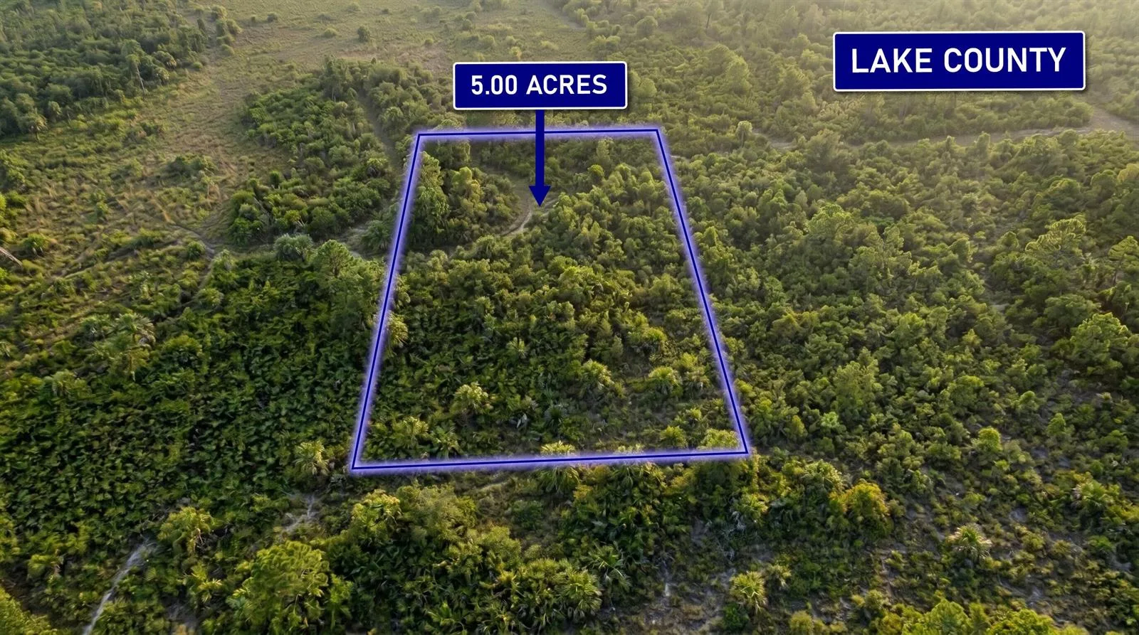 000 Calvin Lee Road, Clermont, FL 34736