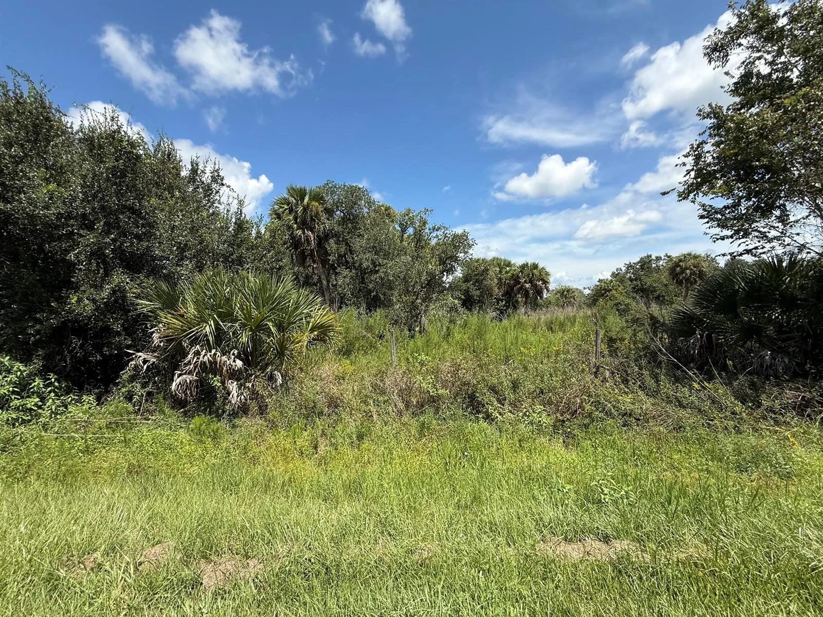 19145 NW 302ND, Okeechobee, FL 34972