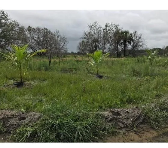 16120 NW 300th Street, Okeechobee, FL 34972