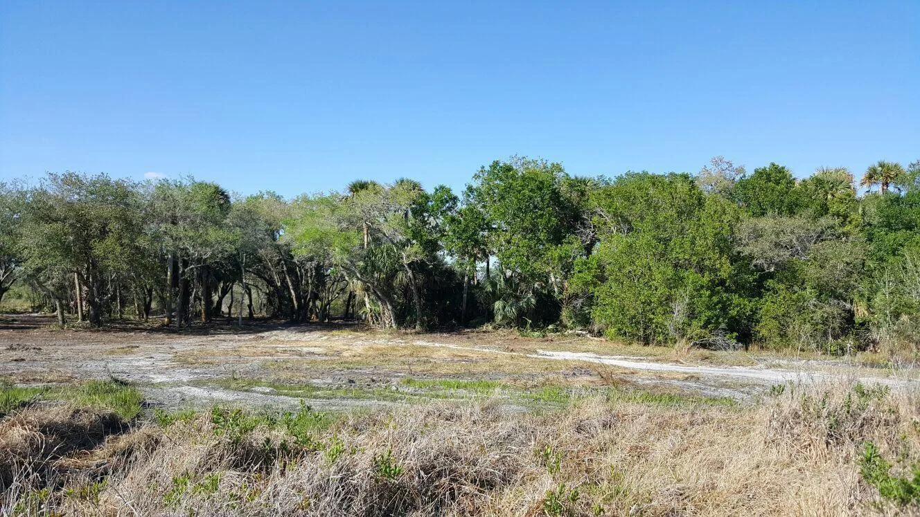 16120 NW 300th Street, Okeechobee, FL 34972 photo 2