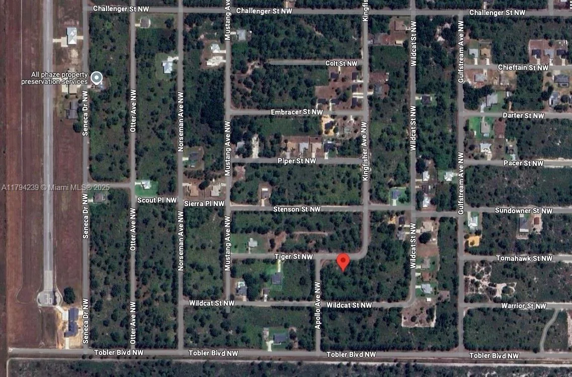 430 NW Tiger St, Lake Placid, FL 33852 photo 2