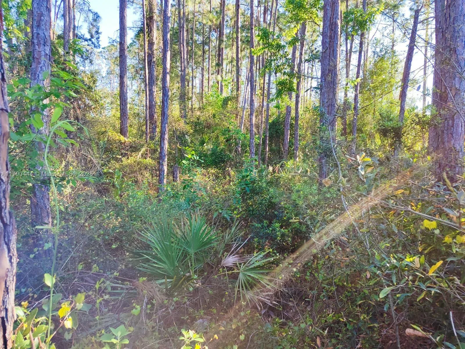 4 Serra CT, Palm Coast, FL 32164 photo 4