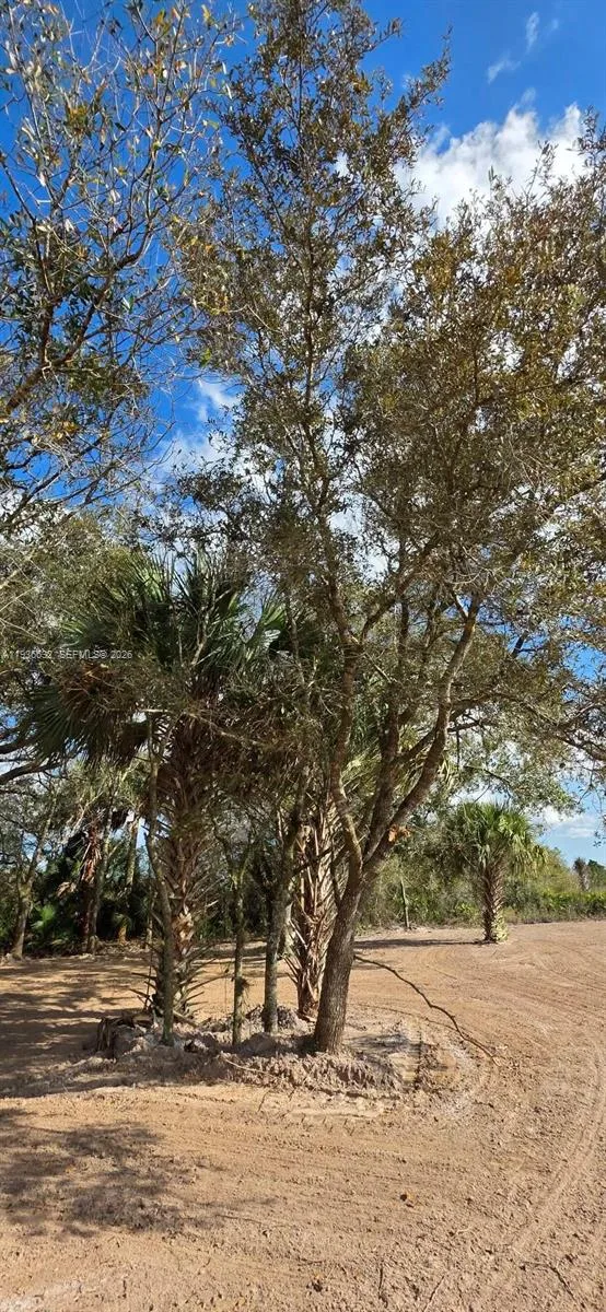 19946 NW 254 st, Okeechobee, FL 34972 photo 11
