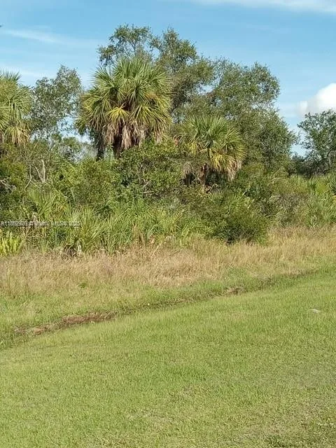 26054 Notre Dame, Punta Gorda, FL 33955 photo 2
