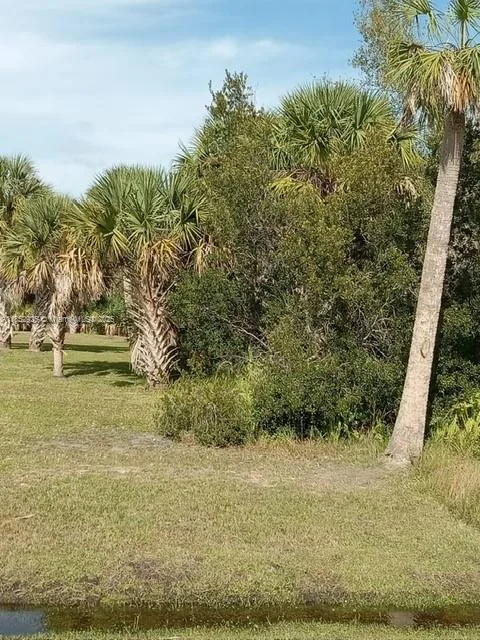 26054 Notre Dame, Punta Gorda, FL 33955 photo 3