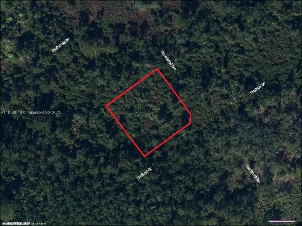1214 Haviland Street, Lake Placid, FL 33852 photo 4