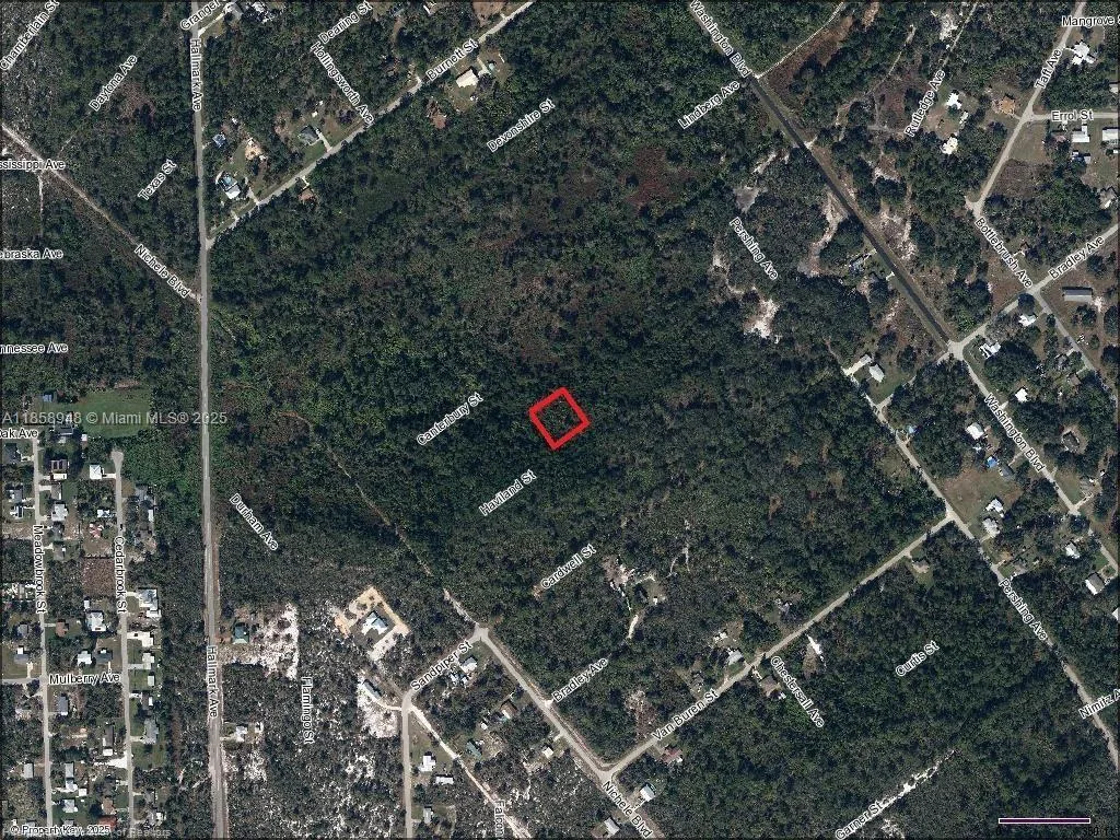 1214 Haviland Street, Lake Placid, FL 33852 photo 5