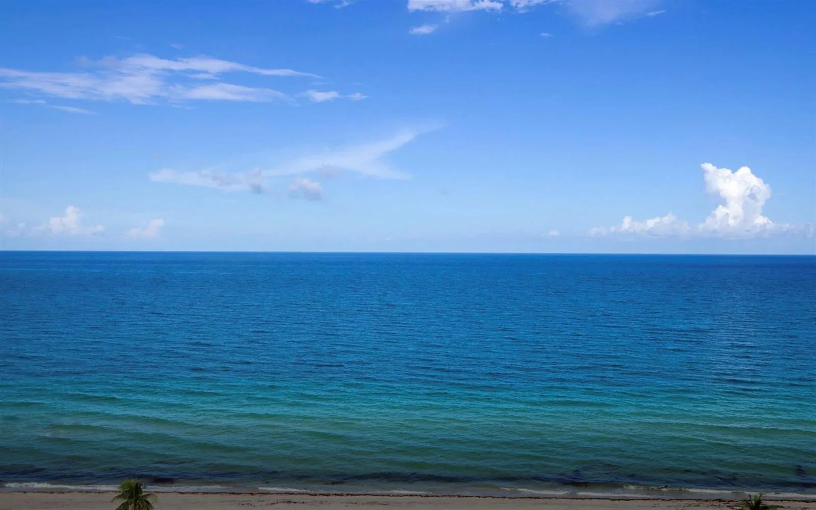 3101 N Bayshore Drive # 604, Fort Lauderdale, FL 33304 photo 8