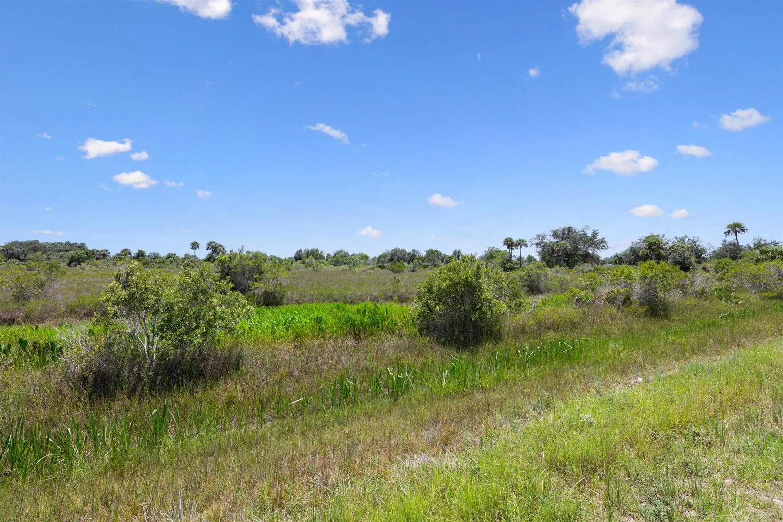 14932 NW 280TH Street, Okeechobee, FL 34972 photo 13