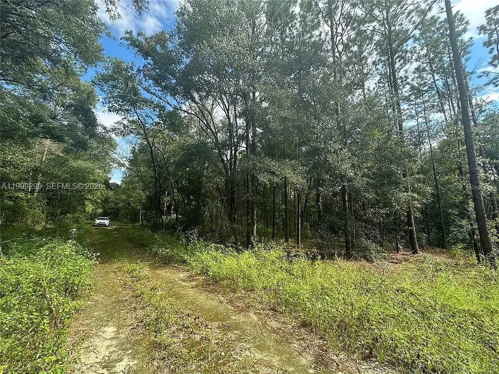 0 SW 153rd AVE, Ocala, FL 34481 photo 2