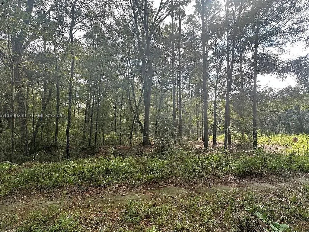 0 SW 153rd AVE, Ocala, FL 34481 photo 3