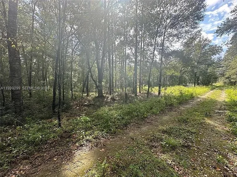 0 SW 153rd AVE, Ocala, FL 34481 photo 4