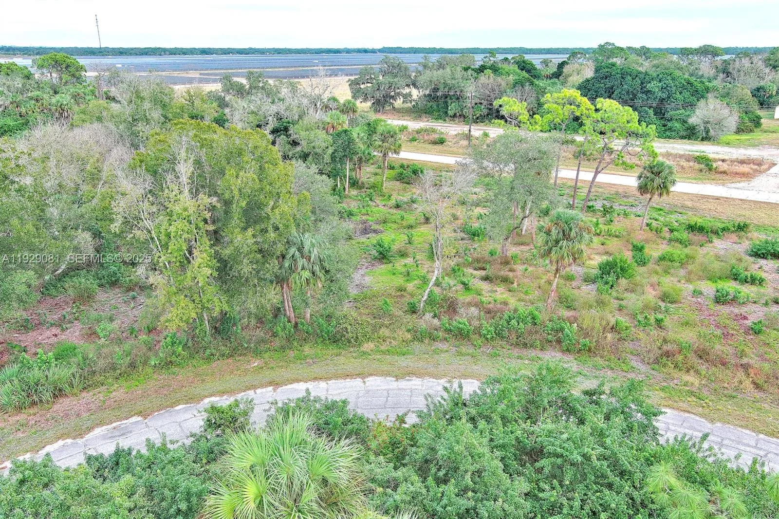 171 CAROUSEL AVE, La Belle, FL 33935