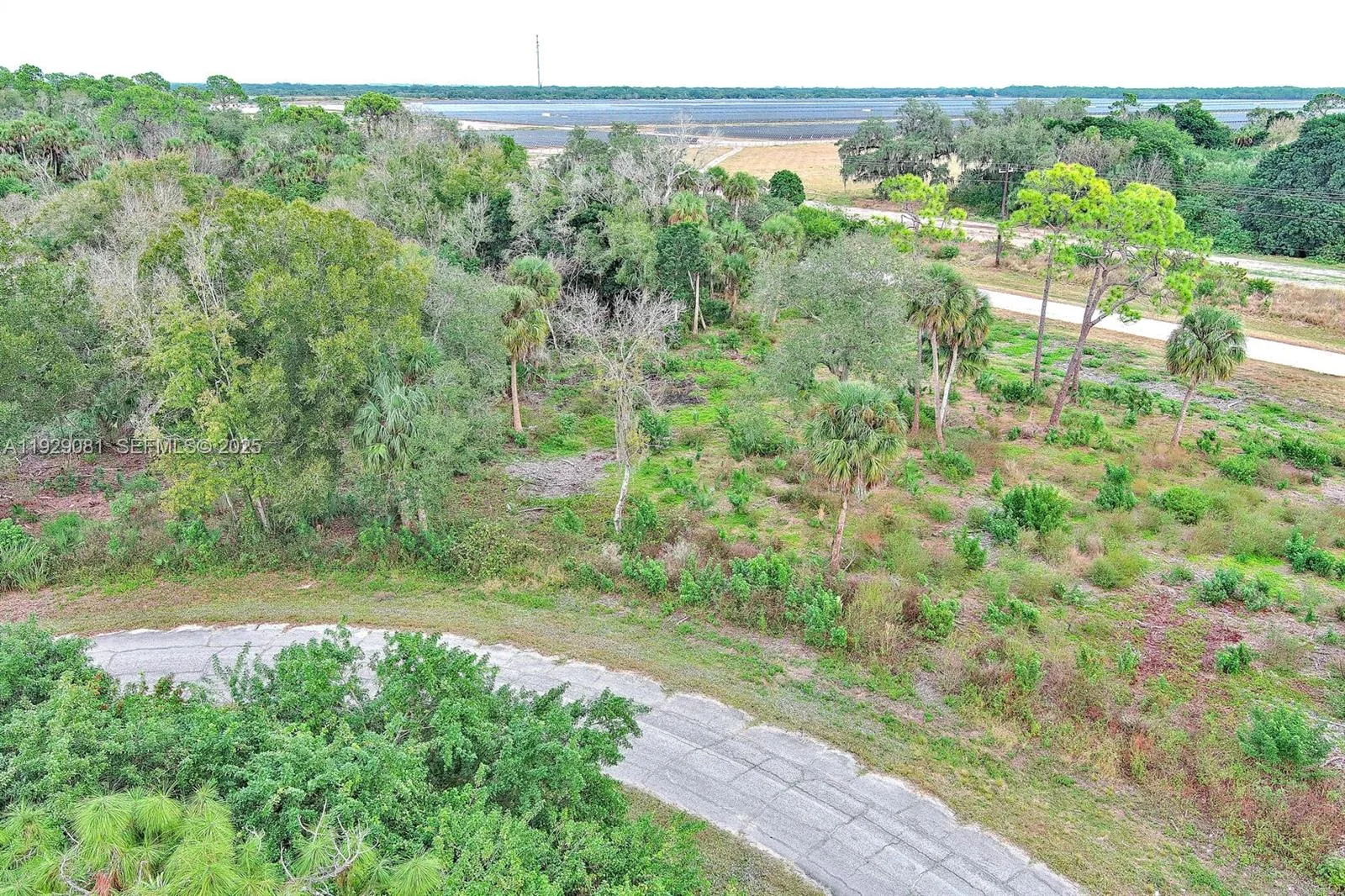 171 CAROUSEL AVE, La Belle, FL 33935 photo 3