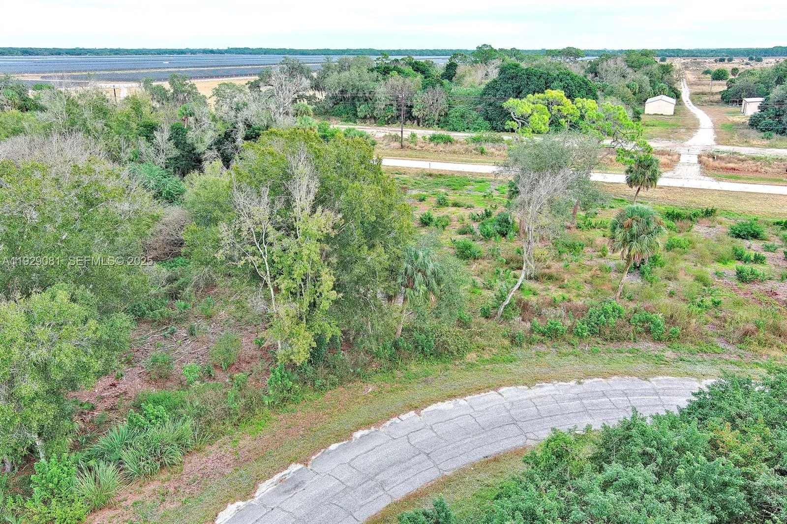 171 CAROUSEL AVE, La Belle, FL 33935 photo 4