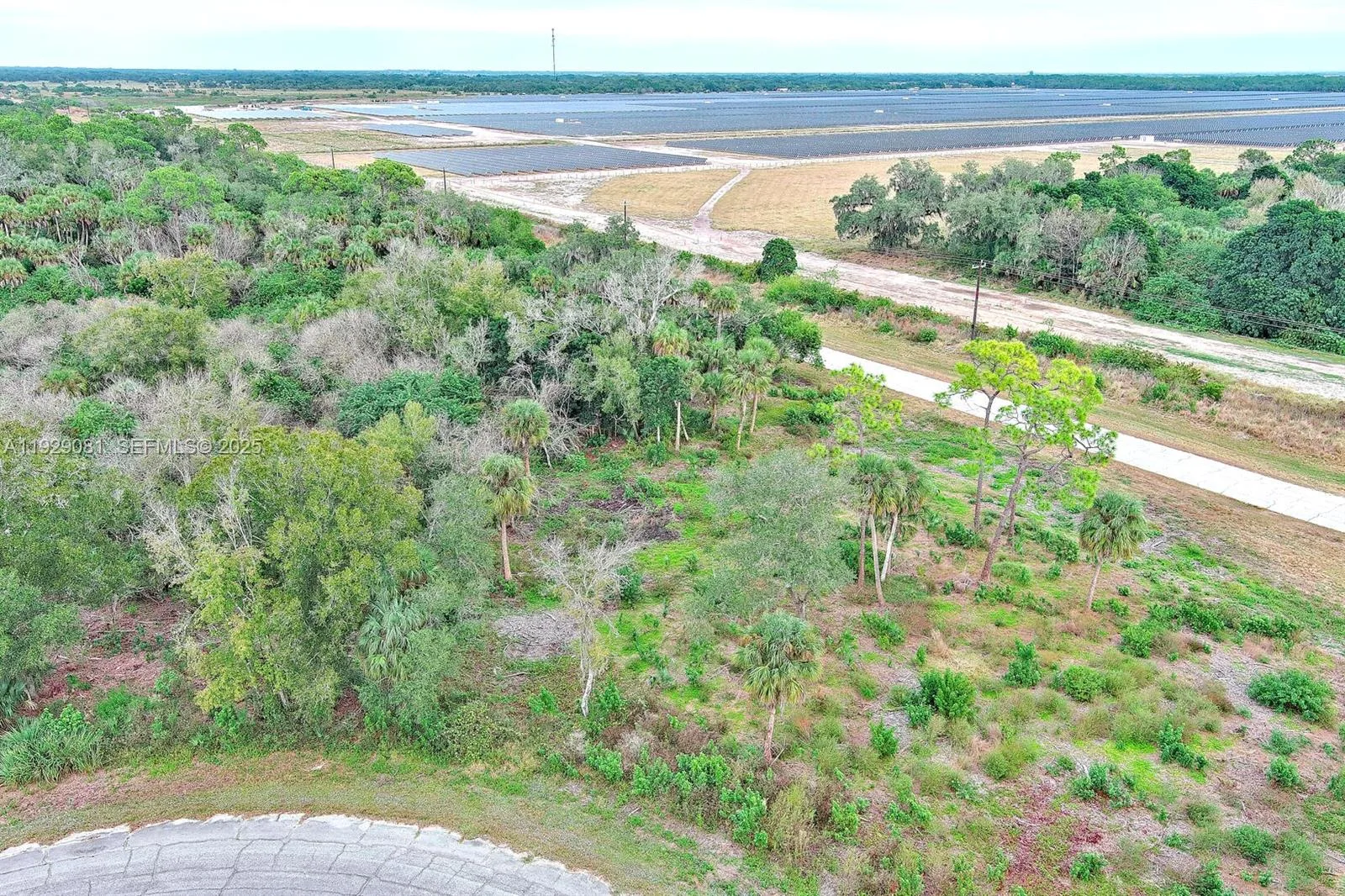 171 CAROUSEL AVE, La Belle, FL 33935 photo 5