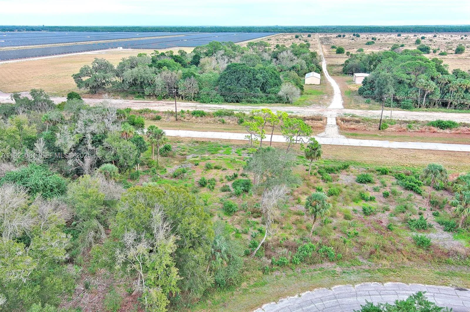 171 CAROUSEL AVE, La Belle, FL 33935 photo 9